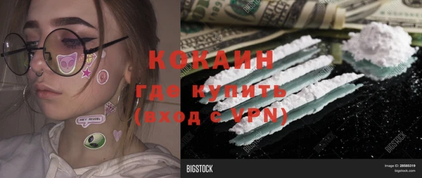 стафф Новокубанск