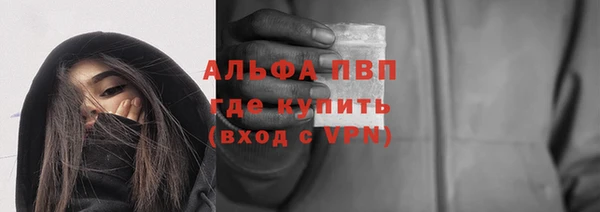 стафф Новокубанск