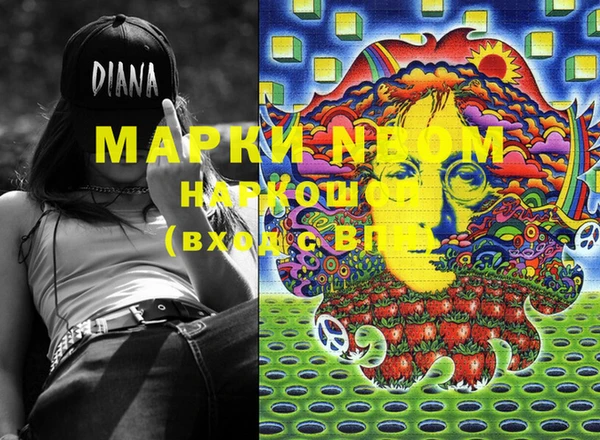 индика Нягань