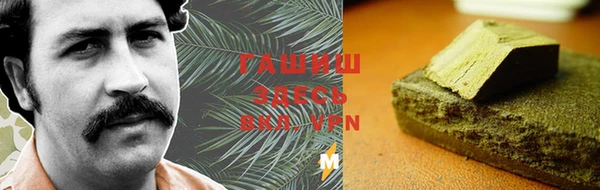 индика Нягань