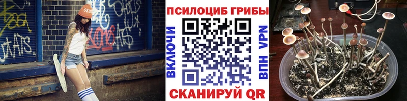 Псилоцибиновые грибы GOLDEN TEACHER  Купить закладки  Энгельс